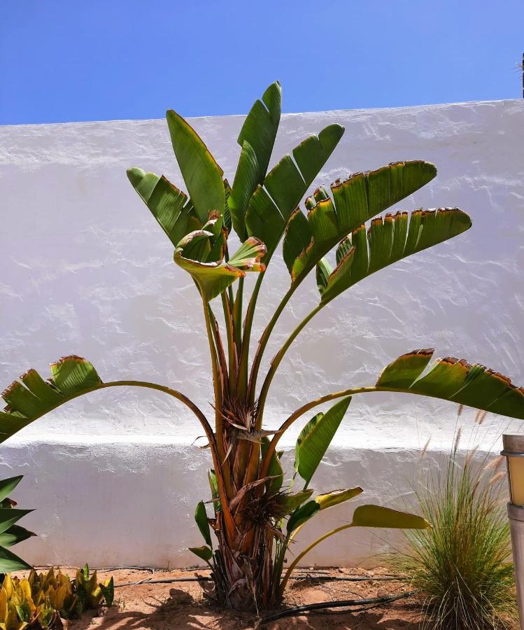 Casa Vivi Fuerteventura Apartman Corralejo Kültér fotó