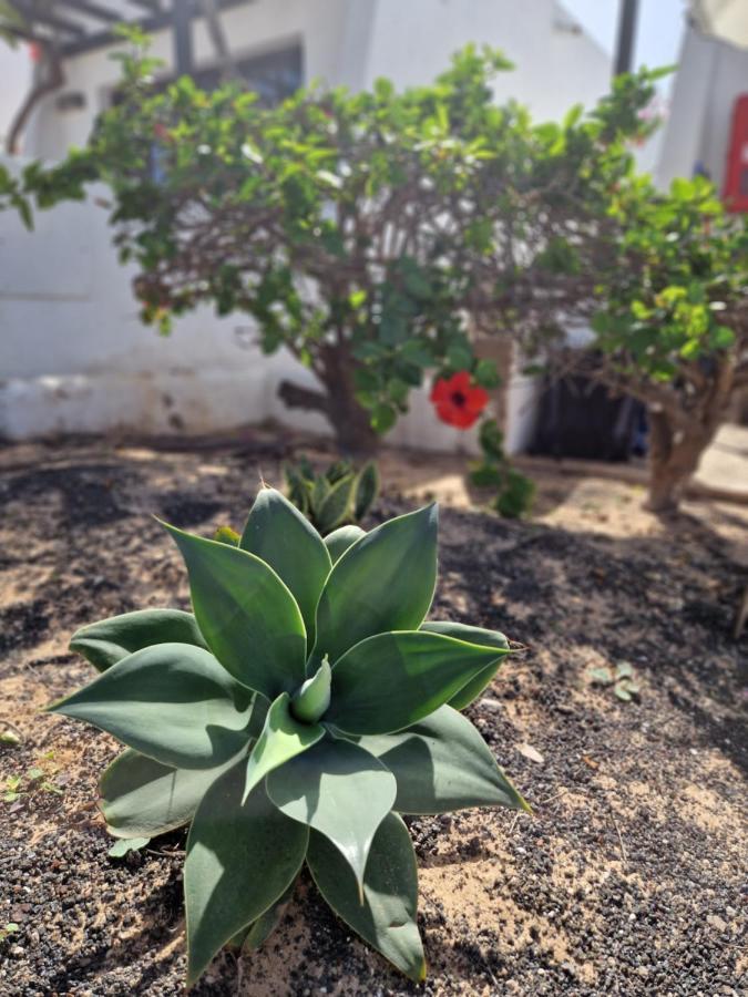 Casa Vivi Fuerteventura Apartman Corralejo Kültér fotó