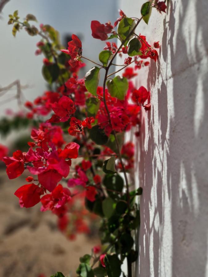 Casa Vivi Fuerteventura Apartman Corralejo Kültér fotó